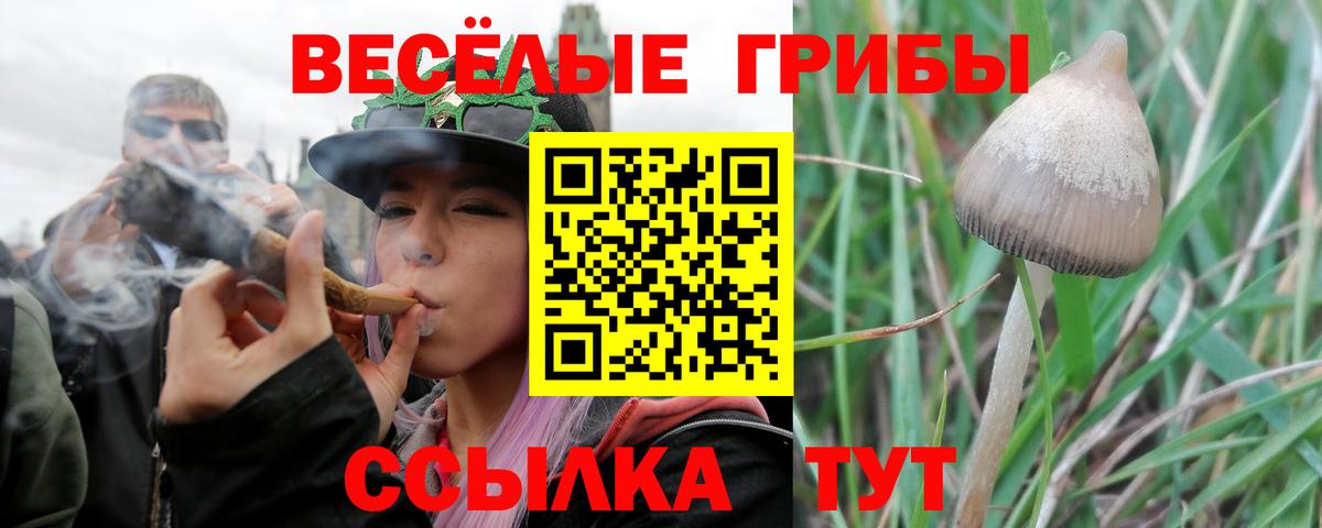 Галлюциногенные грибы GOLDEN TEACHER  Вход с VPN  Томск 
